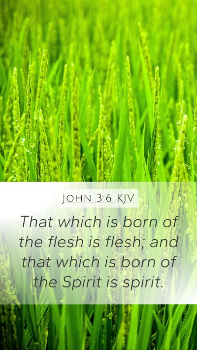 John 3:6 KJV Bible Verse Image