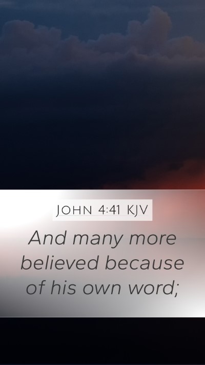John 4:41 KJV Mobile Phone Wallpaper - And many more believed because of his own - Mobile Bible Verse Wallpaper