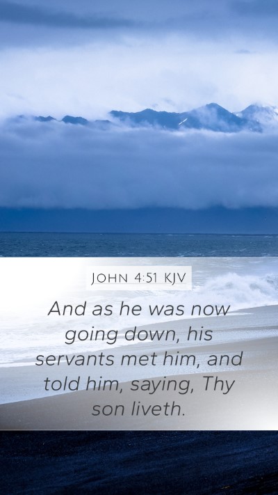 John 4:51 KJV Mobile Phone Wallpaper - And as he was now going down, his servants met - Mobile Bible Verse Wallpaper