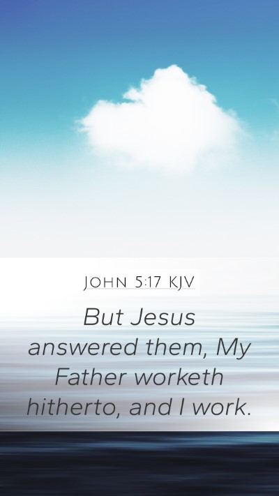 John 5:17 KJV Bible Verse Image