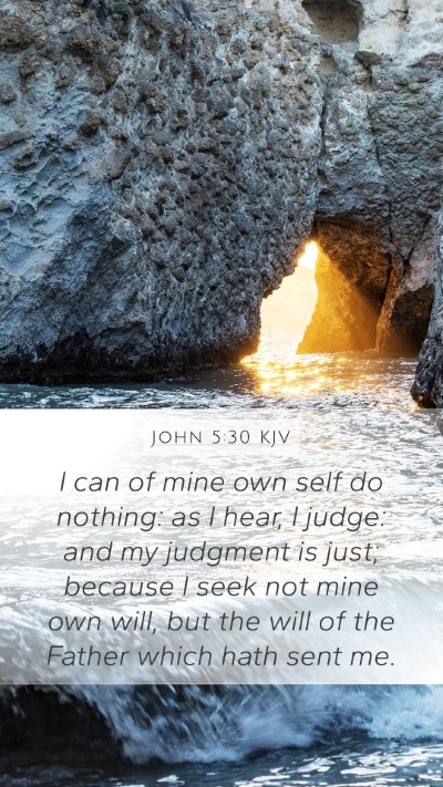 John 5:30 KJV Bible Verse Image