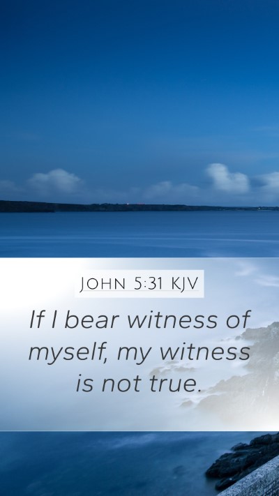 John 5:31 KJV Bible Verse Image