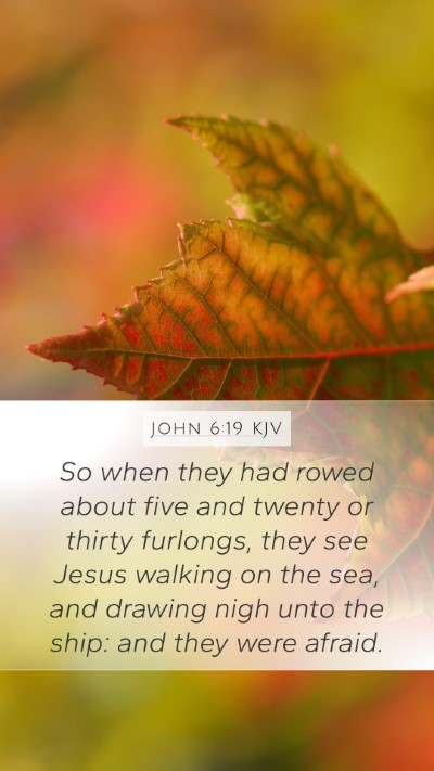 John 6:19 KJV Bible Verse Image