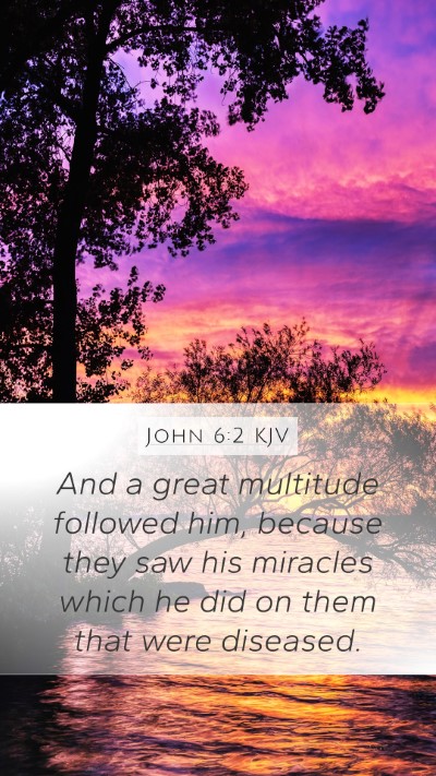 John 6:2 KJV Bible Verse Image