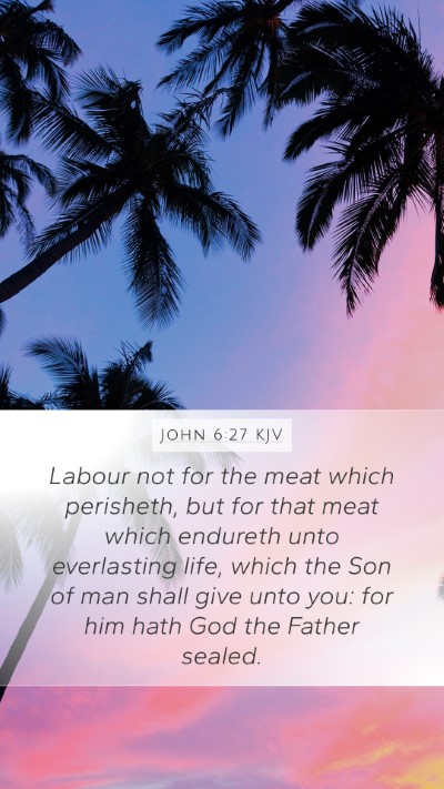 John 6:27 KJV Bible Verse Image