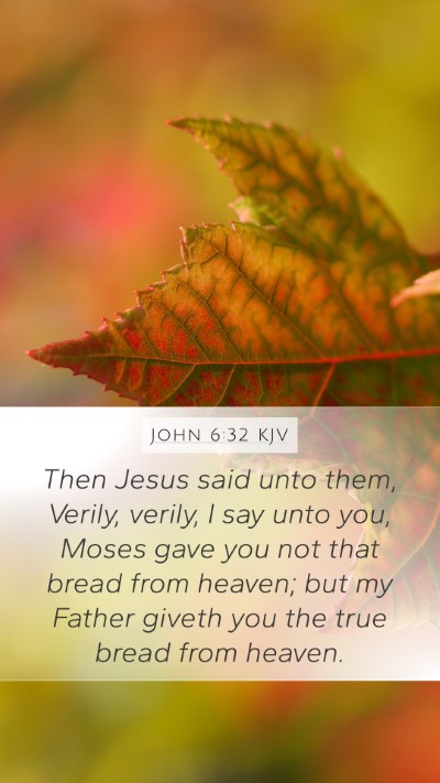 John 6:32 KJV Bible Verse Image