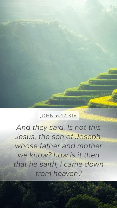 John 6:42 KJV Bible Verse Image