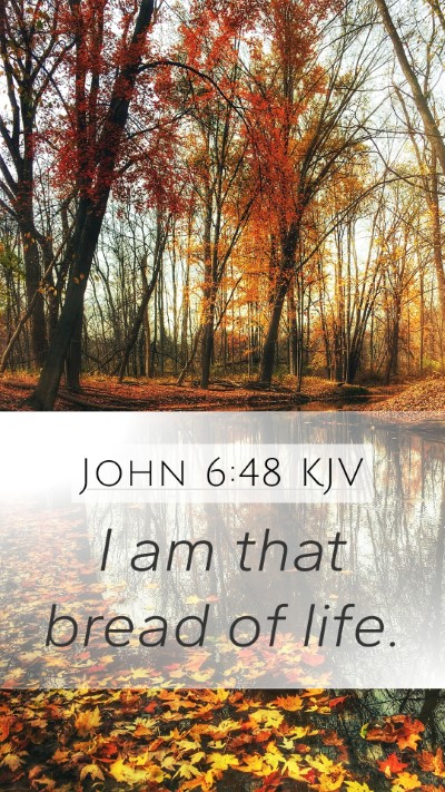 John 6:48 KJV Bible Verse Image