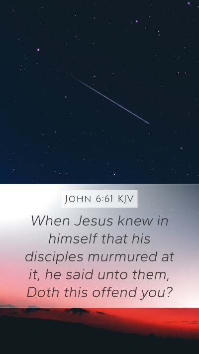 John 6:61 KJV Bible Verse Image