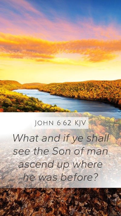 John 6:62 KJV Bible Verse Image