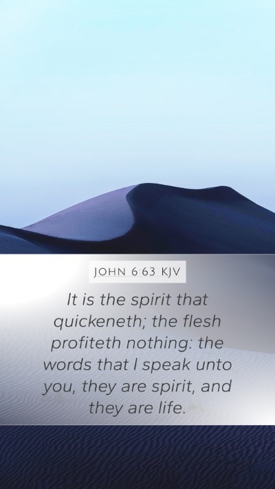 John 6:63 KJV Bible Verse Image