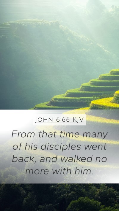 John 6:66 KJV Bible Verse Image