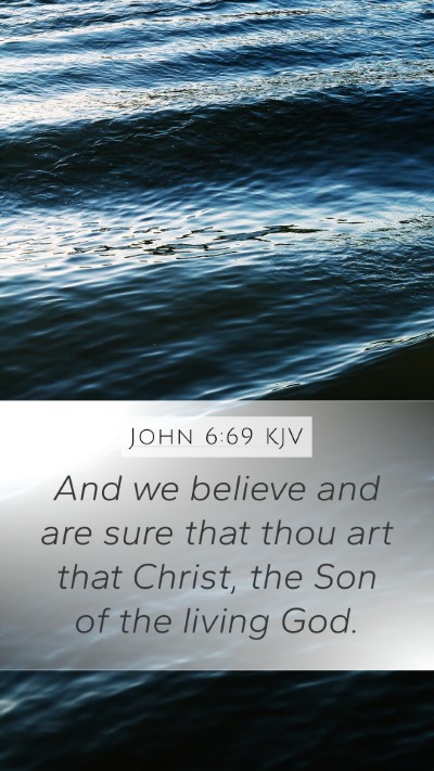 John 6:69 KJV Bible Verse Image