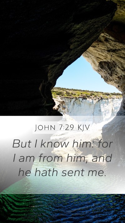 John 7:29 KJV Mobile Phone Wallpaper - But I know him: for I am from him, and he hath - Mobile Bible Verse Wallpaper