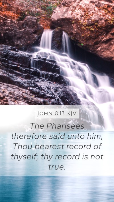 John 8:13 KJV Bible Verse Image
