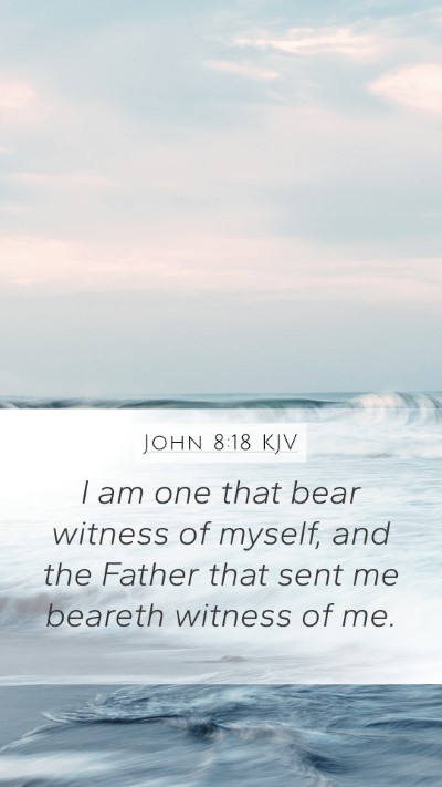 John 8:18 KJV Mobile Phone Wallpaper - I am one that bear witness of myself, and the - Mobile Bible Verse Wallpaper