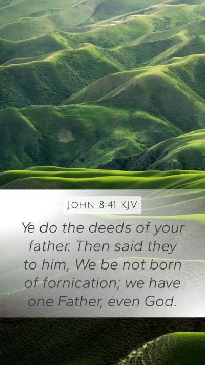 John 8:41 KJV Bible Verse Image