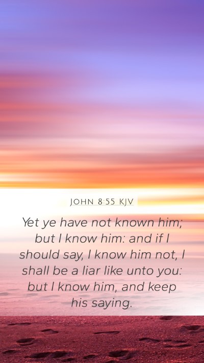 John 8:55 KJV Bible Verse Image