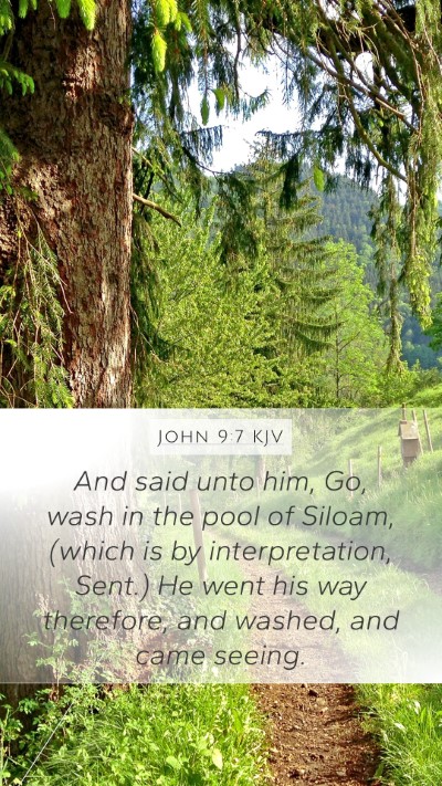 John 9:7 KJV Bible Verse Image