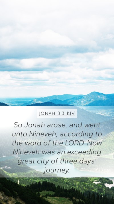 Jonah 3:3 KJV Bible Verse Image