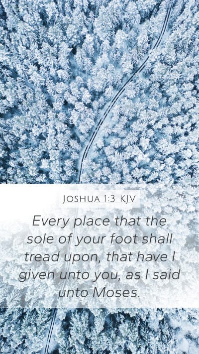 Joshua 1:3 KJV Bible Verse Image