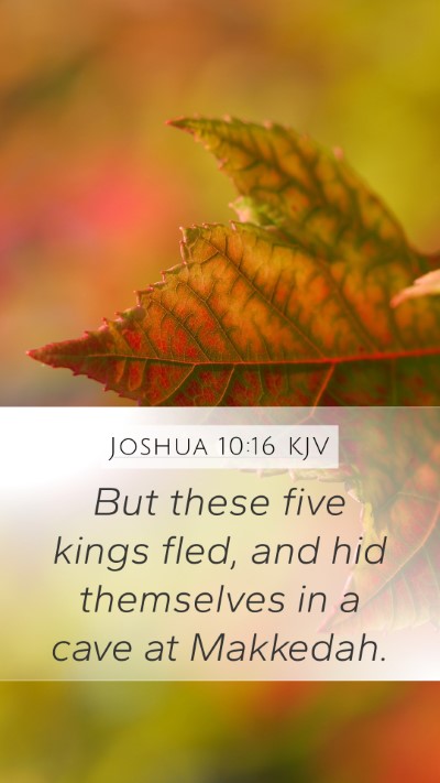 Joshua 10:16 KJV Bible Verse Image