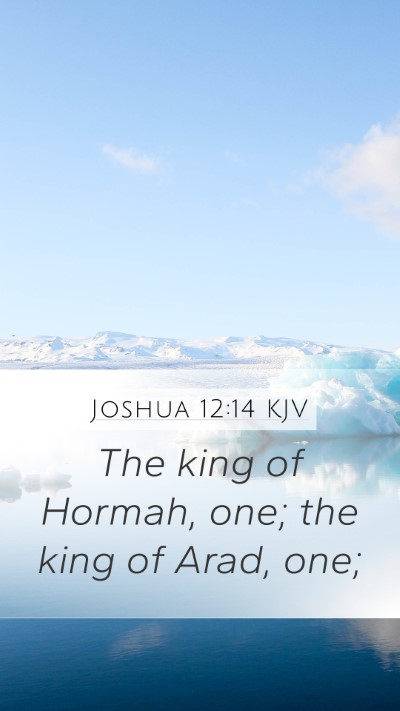Joshua 12:14 KJV Bible Verse Image