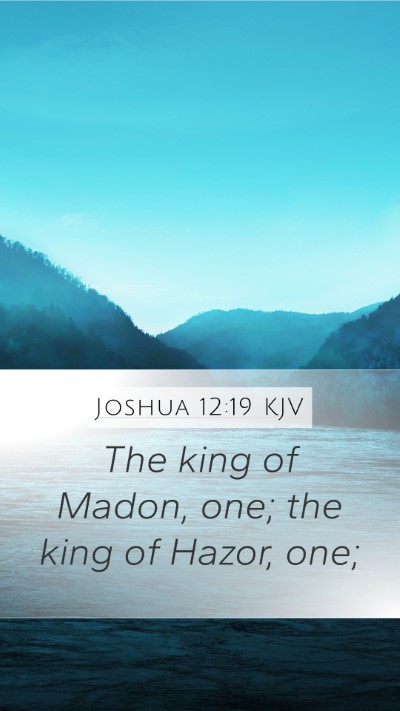 Joshua 12:19 KJV Bible Verse Image