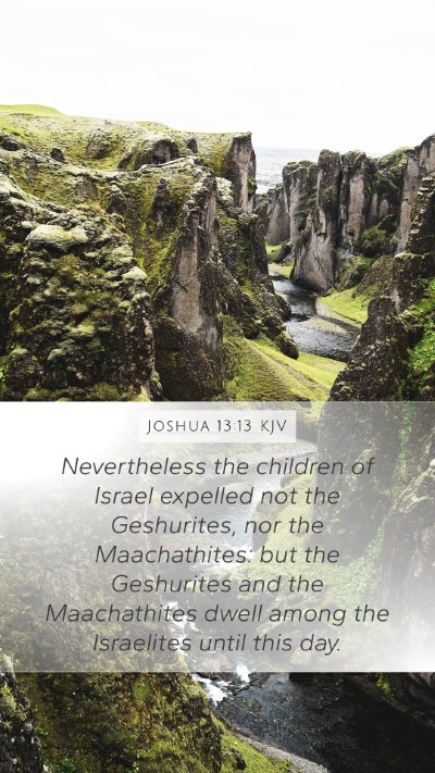 Joshua 13:13 KJV Bible Verse Image