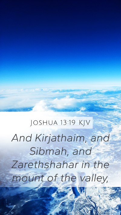 Joshua 13:19 KJV Bible Verse Image