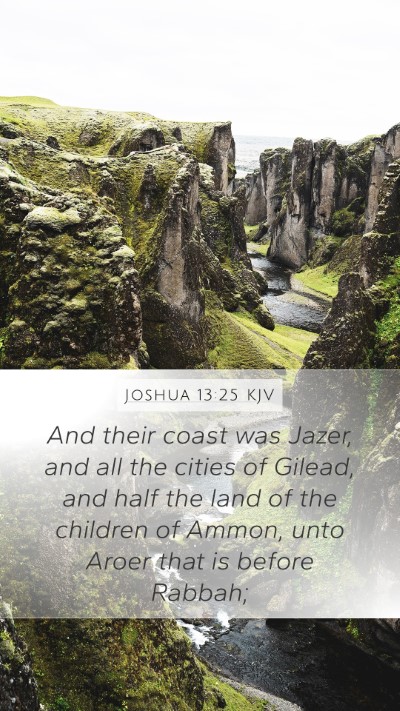 Joshua 13:25 KJV Bible Verse Image