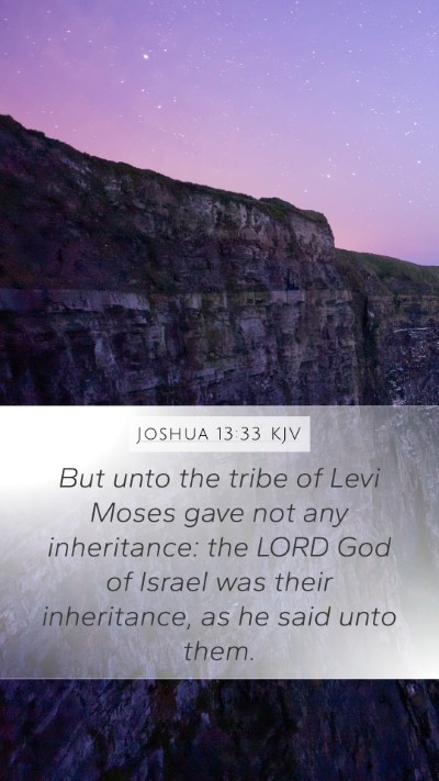 Joshua 13:33 KJV Bible Verse Image