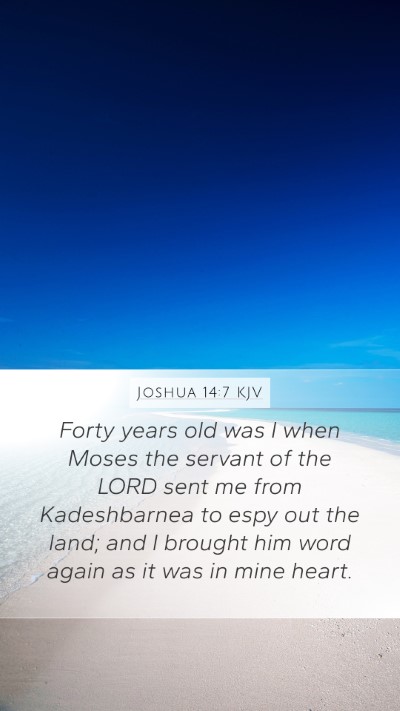 Joshua 14:7 KJV Mobile Phone Wallpaper - Forty years old was I when Moses the servant of - Mobile Bible Verse Wallpaper
