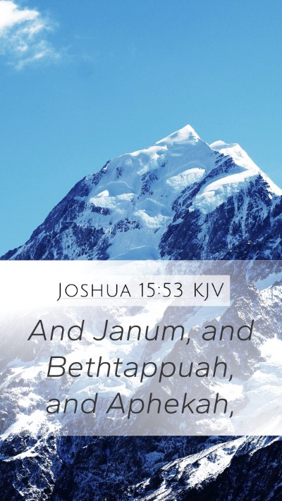 Joshua 15:53 KJV Bible Verse Image