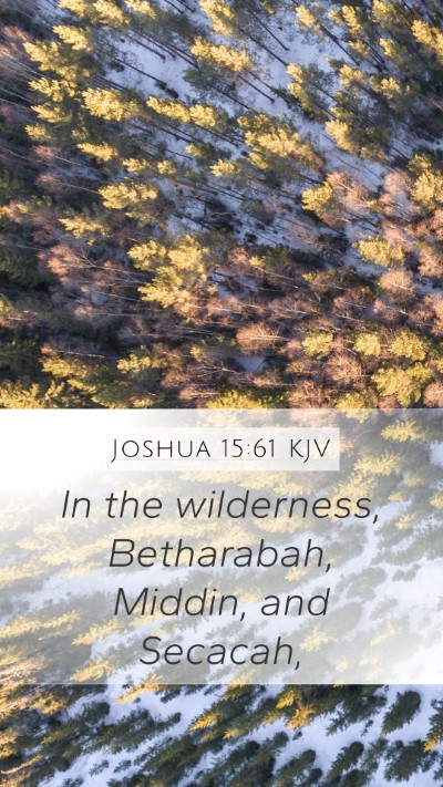 Joshua 15:61 KJV Bible Verse Image