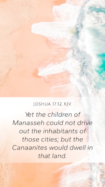 Joshua 17:12 KJV Bible Verse Image