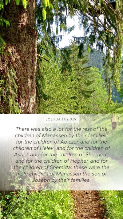 Joshua 17:2 KJV Bible Verse Image