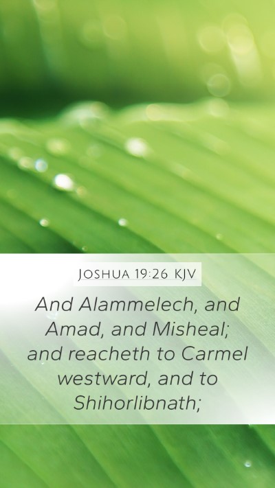 Joshua 19:26 KJV Bible Verse Image