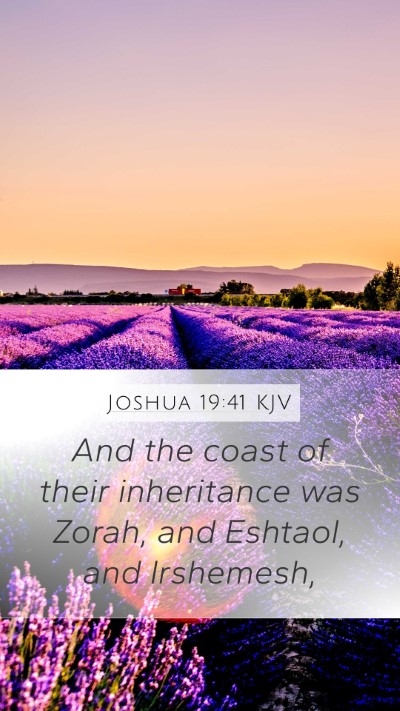Joshua 19:41 KJV Bible Verse Image