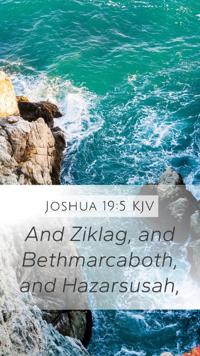 Joshua 19:5 KJV Bible Verse Image
