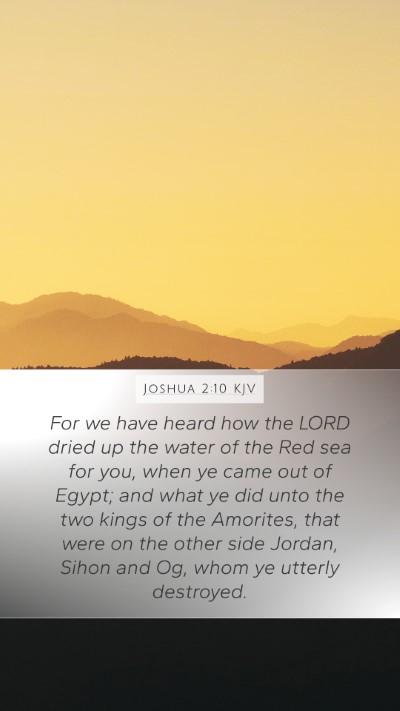 Joshua 2:10 KJV Bible Verse Image