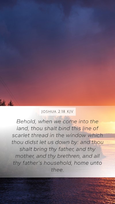 Joshua 2:18 KJV Bible Verse Image