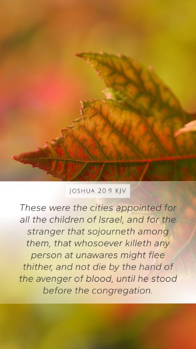 Joshua 20:9 KJV Bible Verse Image