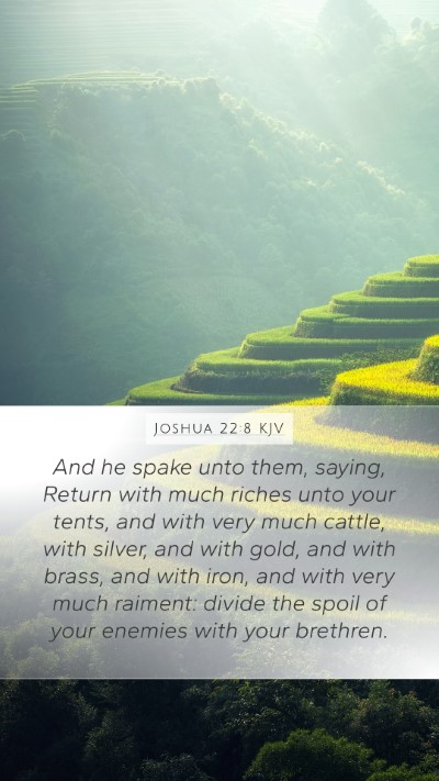 Joshua 22:8 KJV Bible Verse Image