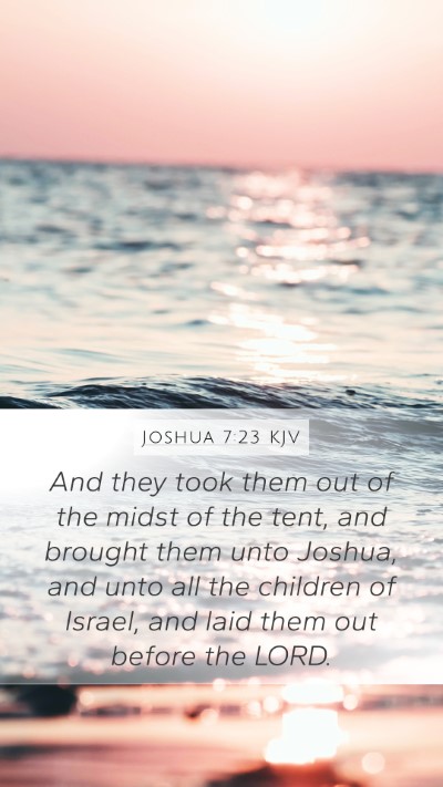 Joshua 7:23 KJV Mobile Phone Wallpaper - And they took them out of the midst of the tent, - Mobile Bible Verse Wallpaper