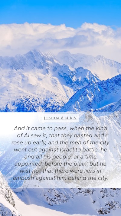 Joshua 8:14 KJV Bible Verse Image