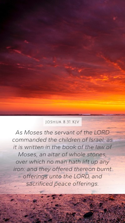 Joshua 8:31 KJV Bible Verse Image