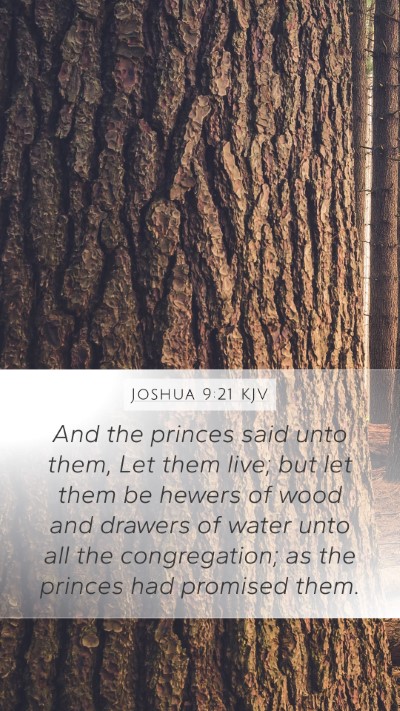 Joshua 9:21 KJV Bible Verse Image