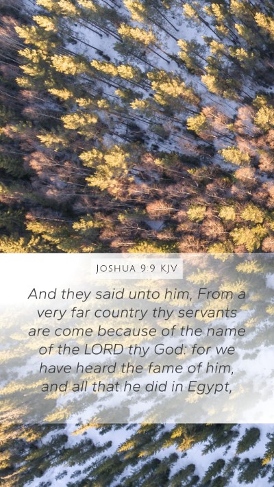 Joshua 9:9 KJV Bible Verse Image
