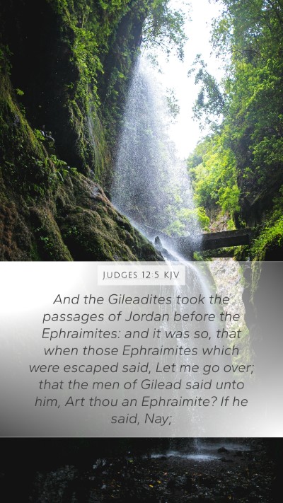 Judges 12:5 KJV Bible Verse Image